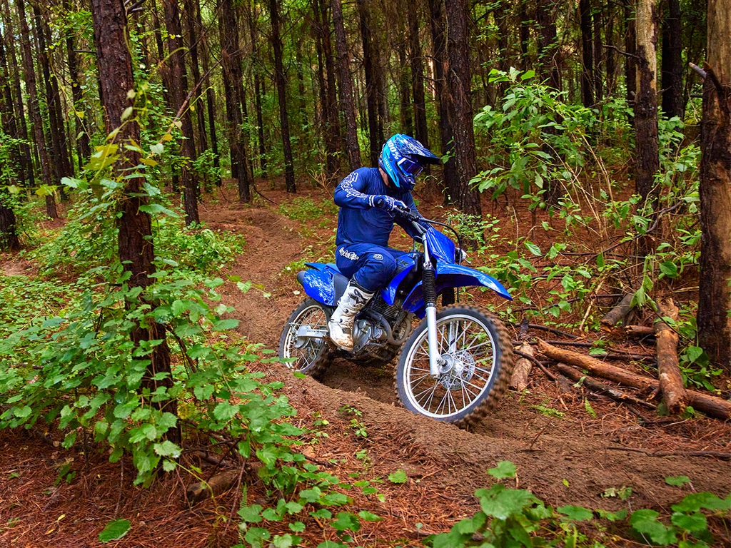 YAMAHA TT-R230 TT-R S/N 1000240 - Image 3