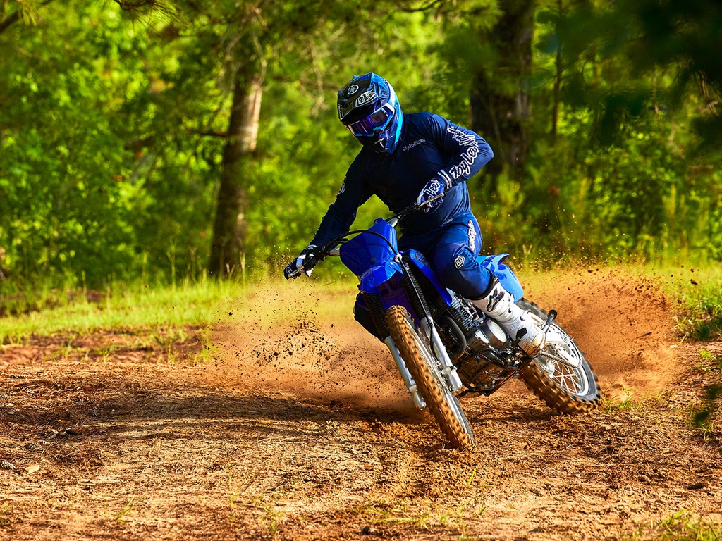 YAMAHA TT-R230 TT-R S/N 1000240 - Image 5