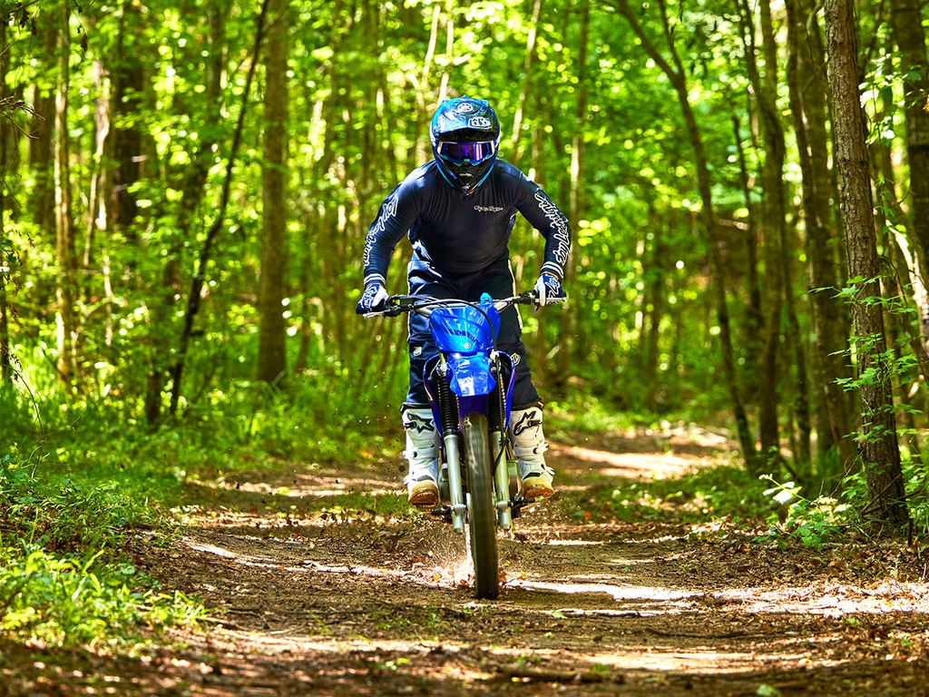 YAMAHA TT-R230 TT-R S/N 1000240 - Image 7