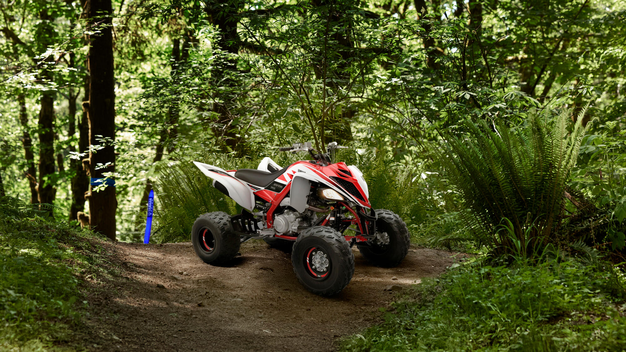 Off-Road Racing Quad Bike - Image 7